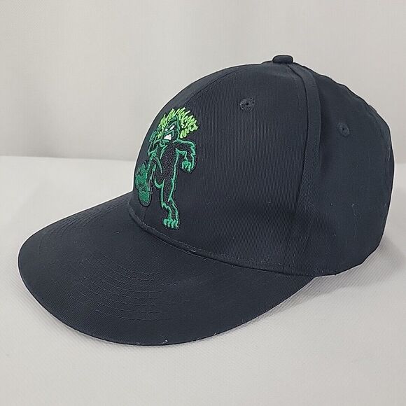 Eugene Emeralds Hat MiLB Adjustable OSFA Adult Cap Minor League Baseball Sluggo - Picture 3 of 10